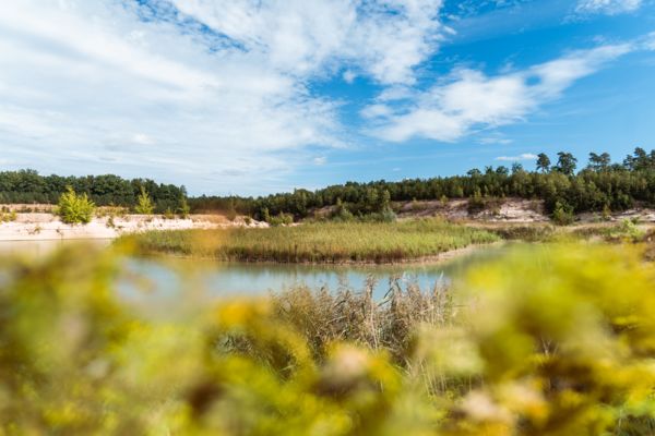 Das Quarzsandwerk umgeben von einer atemberaubenden Landschaft mit grünen Bäumen.