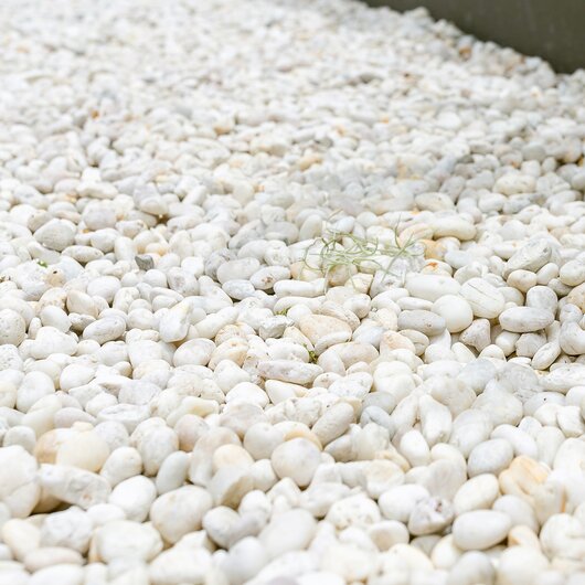 Close-up of white pebbles